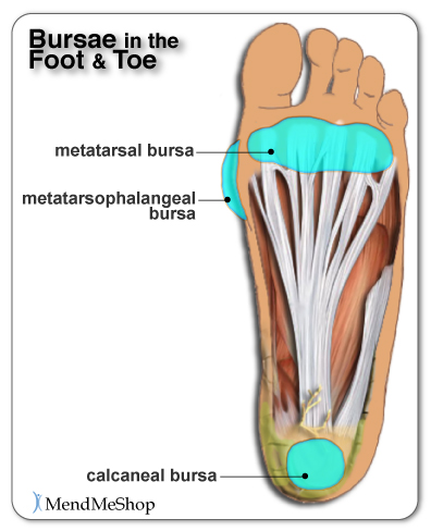 bursa foot and toe