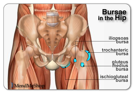 Common bursae in the hip joint and hip area